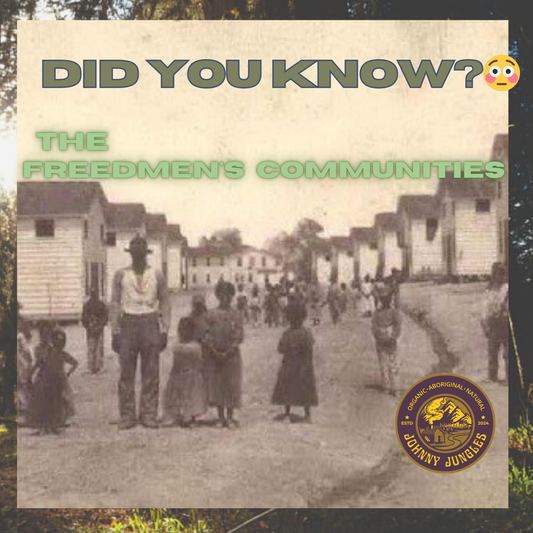 Did You Know The Dallas Freedmen's Communities?🤯